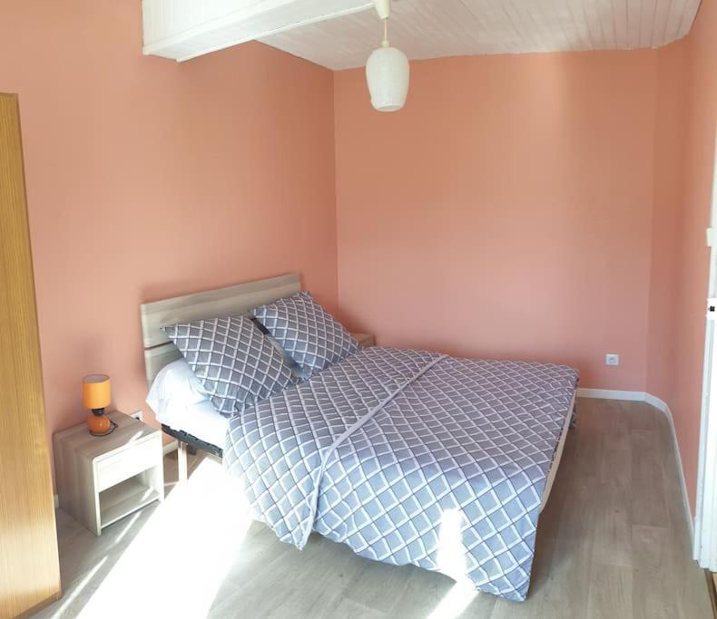 Appartement Plein Sud Au Rdc Avec Terrasse Et Parking Bagneres-de-Bigorre Ngoại thất bức ảnh